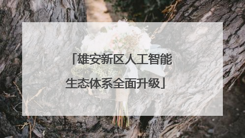 雄安新区人工智能生态体系全面升级