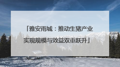 雅安雨城：推动生猪产业实现规模与效益双重跃升