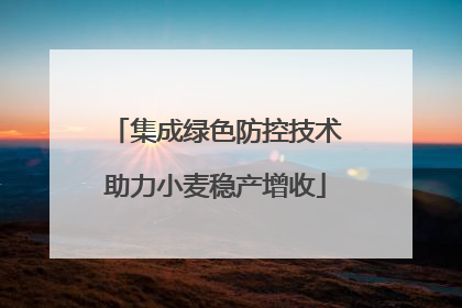 集成绿色防控技术助力小麦稳产增收