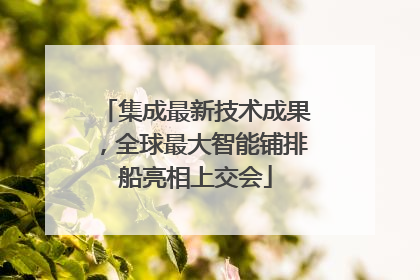 集成最新技术成果，全球最大智能铺排船亮相上交会