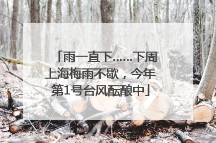 雨一直下……下周上海梅雨不歇，今年第1号台风酝酿中
