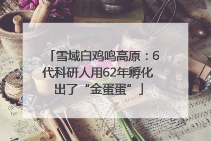 雪域白鸡鸣高原：6代科研人用62年孵化出了“金蛋蛋”