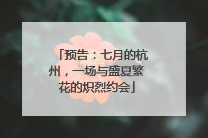 预告：七月的杭州，一场与盛夏繁花的炽烈约会