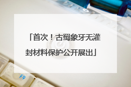 首次！古蜀象牙无灌封材料保护公开展出