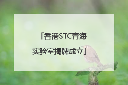 香港STC青海实验室揭牌成立