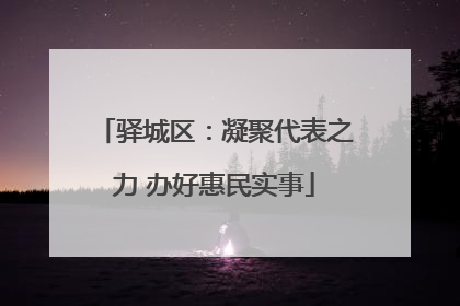 驿城区：凝聚代表之力 办好惠民实事