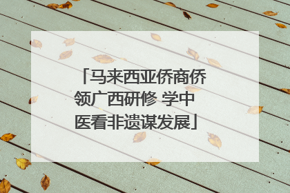 马来西亚侨商侨领广西研修 学中医看非遗谋发展