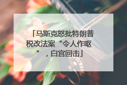 马斯克怒批特朗普税改法案“令人作呕”，白宫回击