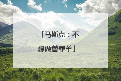 马斯克：不想做替罪羊