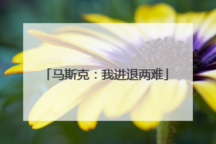 马斯克：我进退两难