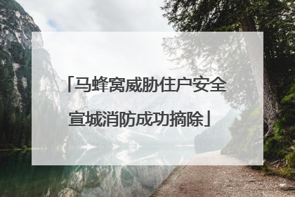 马蜂窝威胁住户安全 宣城消防成功摘除