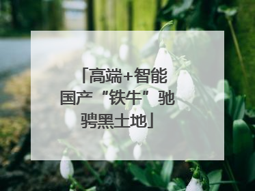 高端+智能 国产“铁牛”驰骋黑土地