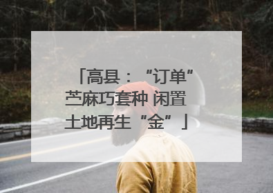 高县：“订单”苎麻巧套种 闲置土地再生“金”