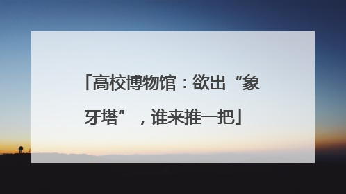 高校博物馆：欲出“象牙塔”，谁来推一把