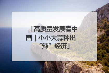 高质量发展看中国｜小小大蒜种出“辣”经济