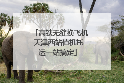 高铁无缝换飞机 天津西站值机托运一站搞定