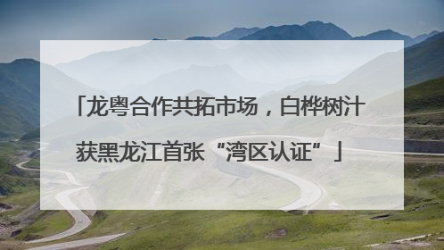 龙粤合作共拓市场，白桦树汁获黑龙江首张“湾区认证”