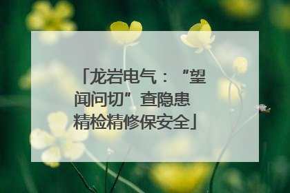 龙岩电气：“望闻问切”查隐患 精检精修保安全
