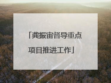 龚振宙督导重点项目推进工作