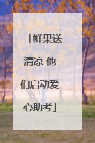 鲜果送清凉 他们启动爱心助考