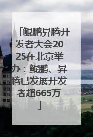 鲲鹏昇腾开发者大会2025在北京举办：鲲鹏、昇腾已发展开发者超665万