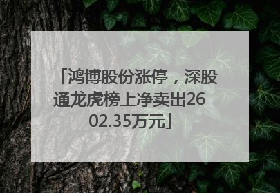 鸿博股份涨停，深股通龙虎榜上净卖出2602.35万元