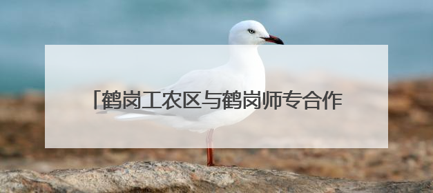 鹤岗工农区与鹤岗师专合作 开启校地协同发展新篇章