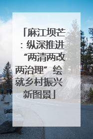 麻江坝芒：纵深推进“两清两改两治理”绘就乡村振兴新图景
