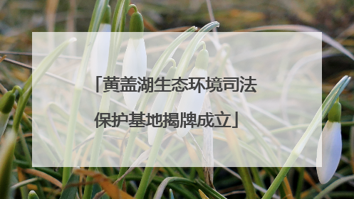 黄盖湖生态环境司法保护基地揭牌成立