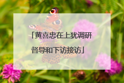 黄喜忠在上犹调研督导和下访接访