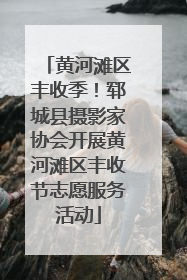黄河滩区丰收季！郓城县摄影家协会开展黄河滩区丰收节志愿服务活动
