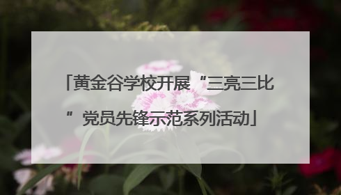 黄金谷学校开展“三亮三比”党员先锋示范系列活动