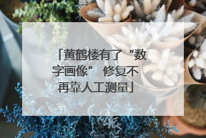 黄鹤楼有了“数字画像” 修复不再靠人工测量
