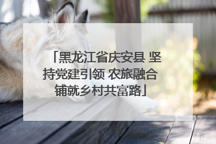 黑龙江省庆安县 坚持党建引领 农旅融合铺就乡村共富路