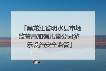 黑龙江省明水县市场监管局加强儿童公园游乐设施安全监管