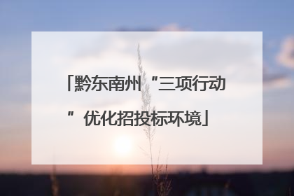 黔东南州“三项行动”优化招投标环境
