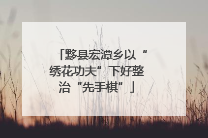 黟县宏潭乡以“绣花功夫”下好整治“先手棋”