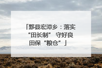 黟县宏潭乡：落实“田长制” 守好良田保“粮仓”