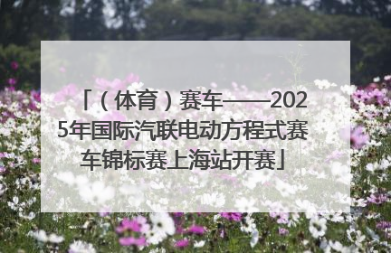 （体育）赛车——2025年国际汽联电动方程式赛车锦标赛上海站开赛