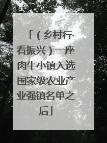 （乡村行·看振兴）一座肉牛小镇入选国家级农业产业强镇名单之后