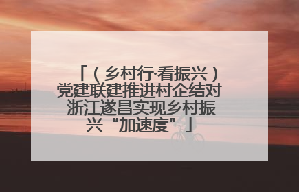 （乡村行·看振兴）党建联建推进村企结对 浙江遂昌实现乡村振兴“加速度”