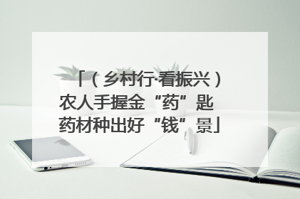 （乡村行·看振兴）农人手握金“药”匙 药材种出好“钱”景