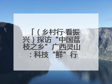 （乡村行·看振兴）探访“中国荔枝之乡”广西灵山：科技“鲜”行 实“荔”C位