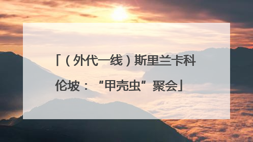 （外代一线）斯里兰卡科伦坡：“甲壳虫”聚会