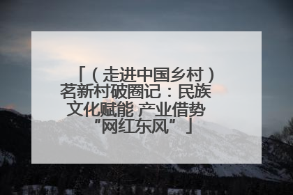 （走进中国乡村）茗新村破圈记：民族文化赋能 产业借势 “网红东风”