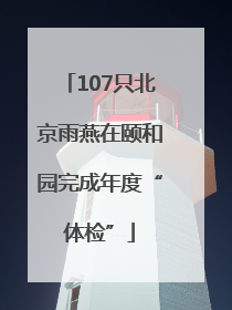 107只北京雨燕在颐和园完成年度“体检”