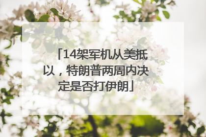 14架军机从美抵以，特朗普两周内决定是否打伊朗