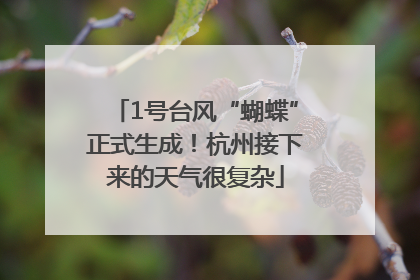 1号台风“蝴蝶”正式生成！杭州接下来的天气很复杂
