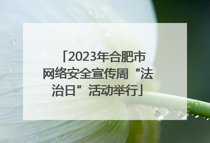 2023年合肥市网络安全宣传周“法治日”活动举行