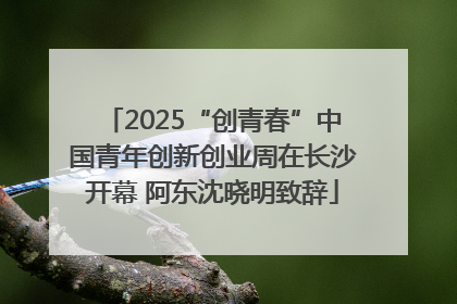 2025“创青春”中国青年创新创业周在长沙开幕 阿东沈晓明致辞